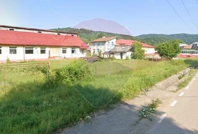 Spatiu comercial central Valea Lunga-Cricov de vanzare 2300 mp teren - 2