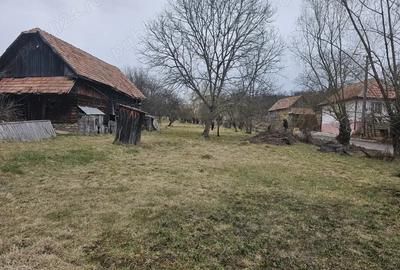 Casa de vanzare in Sat Sacel, Com. Baisoara - 3