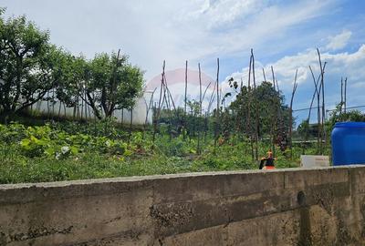 Casa / Vila cu 12 camere-Sfantu Ilie Vechi, Suceava - 53