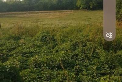 Spațiu comercial, în Liliești