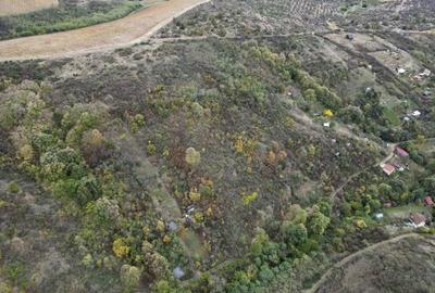 Teren 18,300mp Ghioroc - 2