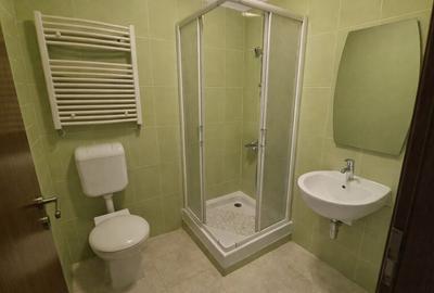 Apartament cu 3 camere decomandat, mobilat în Străulești - 13