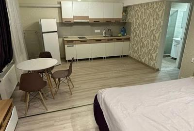 De inchiriat garsoniera in zona Elisabetin - 2