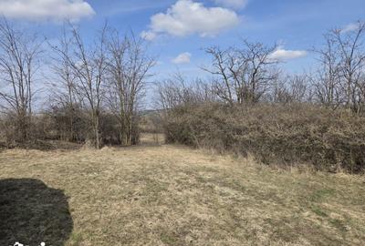 Teren de 11500 mp, în Mihai Viteazu - 7