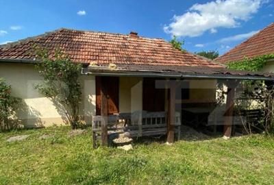 Casa de vanzare, 2 camere, 80 mp, zona Marius, langa Valea - 3