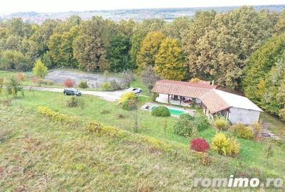 Proprietate exclusivista cu 60.000 mp teren ?i padure - 3