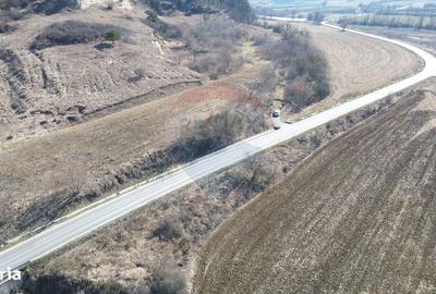 Spațiu comercial, în Moșna - 4