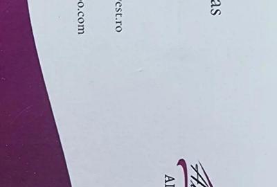 A 42 Proprietarul vinde apart 2 camere in vila linga Casa Memoriala George Bacovia, zona centrala - 17