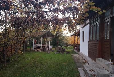 Casă în Călata - 1