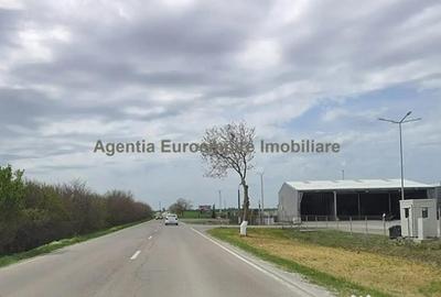 Teren de 25000 mp, în Agigea - 6