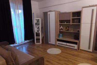 Apartament cu 2 camere decomandat, mobilat în Drumul Taberei - 5