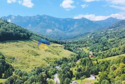 TEREN Izvoru Muntelui, langa orasul BICAZ - 7