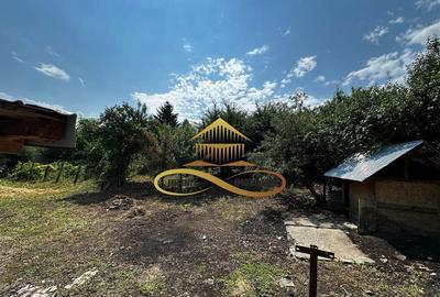 Casă cu 3 camere cu Teren 1008 Mp în Sărata