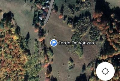 Teren în Muntele Rece - 1
