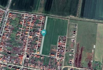 Teren agricol intravilan de 7317 mp, în Zimandu Nou - 4