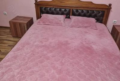 Apartament Ared Uta Arad