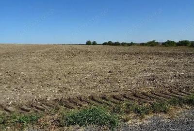 Teren de 5000 mp, în Valu lui Traian - 10