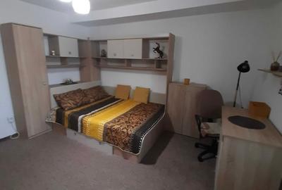 Apartament cu 1 camera, PET FRIENDLY, zona Tatarasi - 4