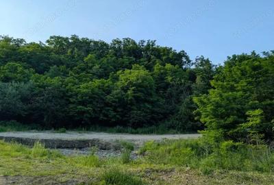 Sarata Bai- Oportunitate investi?ie- 4038 mp- priveli?te spectacol - 1