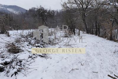 Casă individuală cu 2 camere cu Teren 3300 Mp în Poiana Câmpina - 9