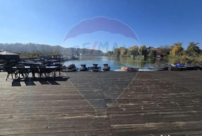 Apartament cu 3 camere semidecomandat, mobilat în Snagov - 13