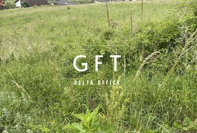 Teren în Viișoara - 6