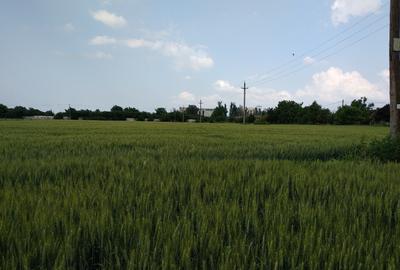 Teren intravilan pretabil parc fotovoltaic 43000mp - 4