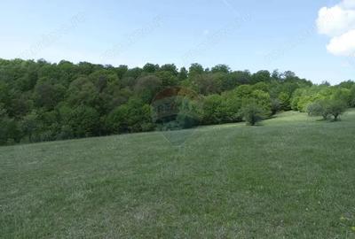 Teren de vanzare in Preluca Noua - 8