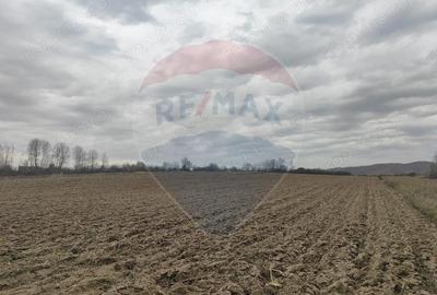 Teren de 11900 mp, în Fârdea - 1