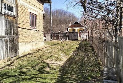 Casă cu Teren 1776 Mp în Groși - 2