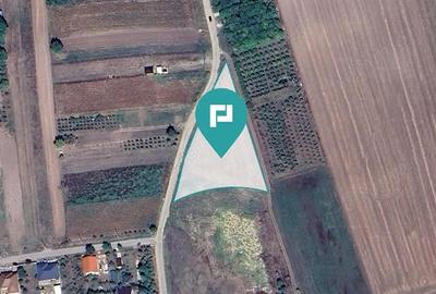 Teren intravilan de 4500 mp in Zadareni - 4