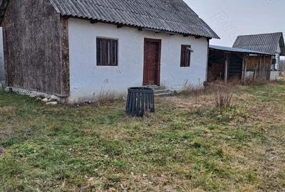 Vand casa in Poiana Lacului la 15 minute de Pite?ti la 15 km ?i la 300 m de centru comunei - 2