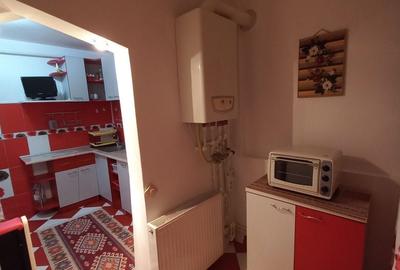 Apartament cu 2 camere decomandat în Lacu - 7
