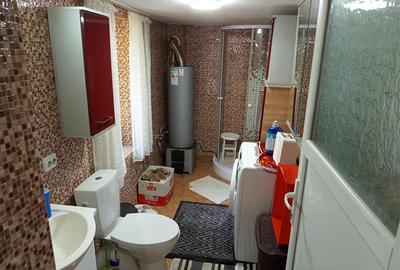 Casă individuală cu 4 camere cu Teren 1439 Mp în Vest - 8