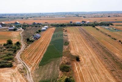 Vanzare teren intravilan 5,888 mp Sabareni / Strada sondei - 5
