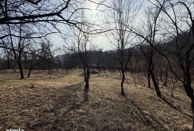 Spațiu comercial, în Central - 13