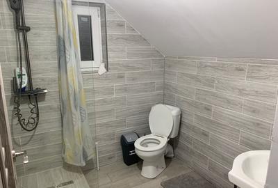 Cabana libera de Craciun ?i Revelion - 4