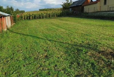 Spațiu comercial, în Aghireșu - 2
