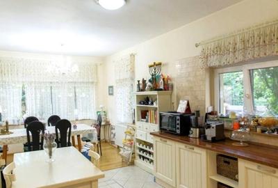 Vila Iancu Nicolae - 4