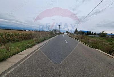 Teren 5.000 mp strada Tineretului, ora?ul Buhu?i - 2