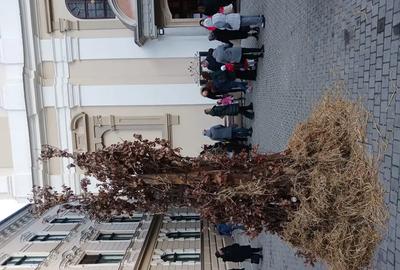 Vand casa in Bazo?u Nou - 9