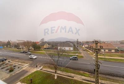 Apartament de vanzare 3 camere Chisineu Cris - 14