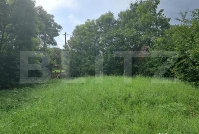 Teren de 2861 mp, în Tureni - 3