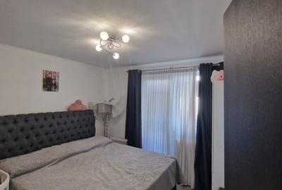 Campia Libertatii , Baba Novac , Parc IOR, renovat, mobilat complet - 8