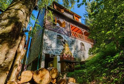 Casă cu 6 camere cu Teren 120 Mp în Râu de Mori - 11