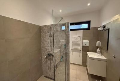 Casă cu 5 camere cu Teren 300 Mp în Ana Ipătescu - 14