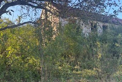 Casă cu 4 camere cu Teren 450 Mp în Est - 3