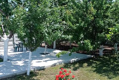 Casă cu 5 camere în Corbu - 14