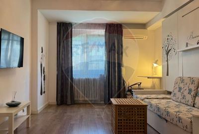 Inchiriere Garsoniera Regina Elisabeta - 4