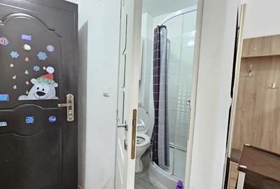 Garsonieră semidecomandată în Ozana - 4